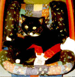 Iwan nimmt alles in Besitz