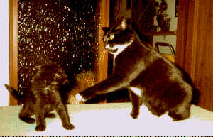 Iwan trifft Lola das erste mal