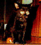 Lola, ganz klein und zerbrechnlich