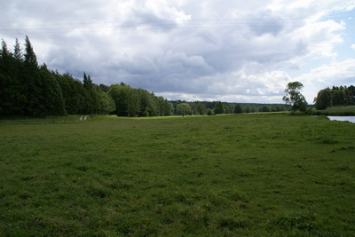 Die Sommerweide