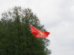 Klingon-Fighter (siehe Logo)