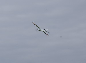 Der Bohrer beim Flug