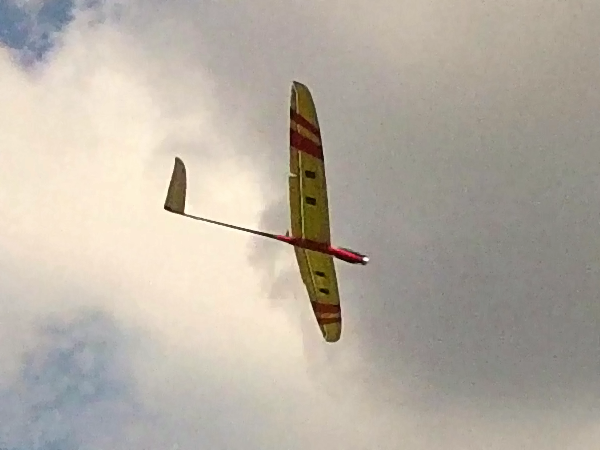 Taser im Gleitflug